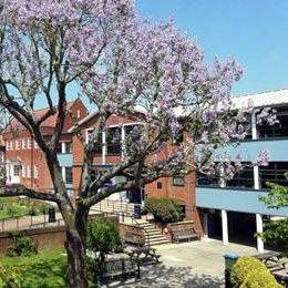 Collyers College